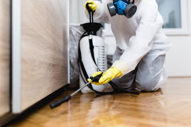 Best Cockroach Control Services  in Clark Mills, NY