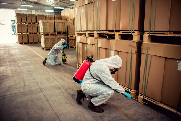 Best Bed Bug Extermination  in Clark Mills, NY
