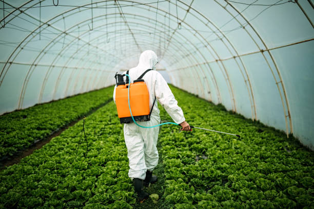 Best Pest Inspection Near Me  in Clark Mills, NY
