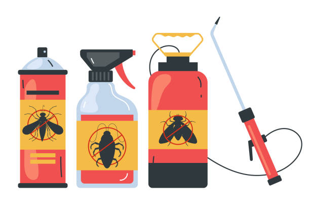 Best Termite Control Services  in Clark Mills, NY