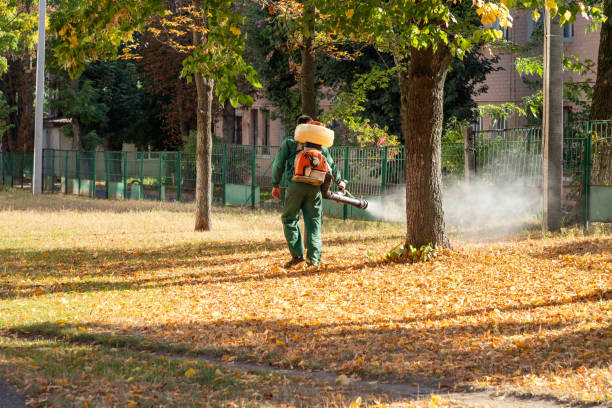 Best Best Pest Control Companies  in Clark Mills, NY