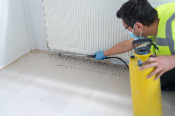 Best Flea Control Services  in Clark Mills, NY